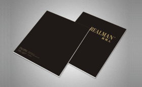 字體中國畫冊設(shè)計案例 成功案例解析與企業(yè)形象策劃的完美融合